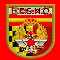 H.E.S.M.O. logo