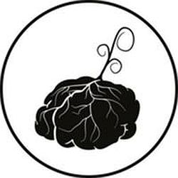 Brainflowermedia logo