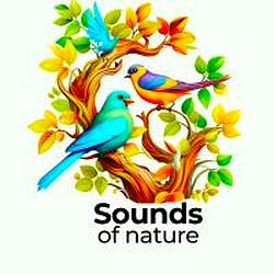Звуки природы - Nature logo