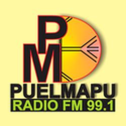 Radio Puelmapu logo