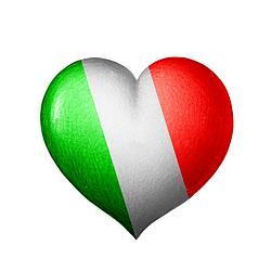 Radio Italo Disco Net logo