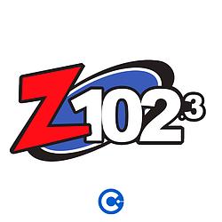 Z-102.3