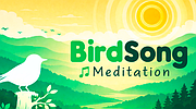Birdsong & Meditation