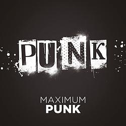 PUNK Maximum logo