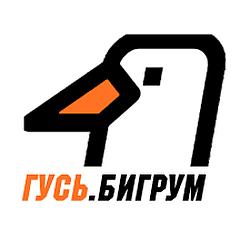 Радио ГУСЬ.Бигрум logo