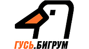 Радио ГУСЬ.Бигрум logo