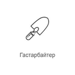 Га­стар­бай­тер FM Record