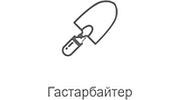 Га­стар­бай­тер FM Record Radio logo