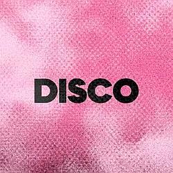DFM Disco logo