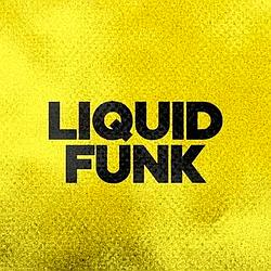 DFM Liquid Funk logo