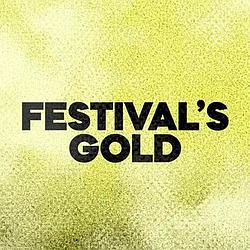 DFM Festivals Gold Radio logo