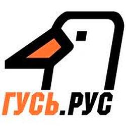 Радио ГУСЬ.Рус logo
