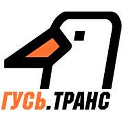 Радио ГУСЬ.Транс logo