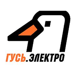 Радио ГУСЬ.Электро logo