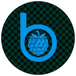 BlackBerry Acid House Radio logo