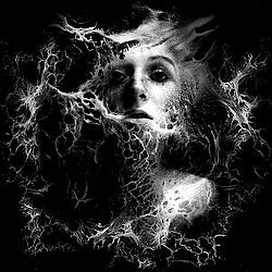 Night Full On Radio Caprice logo