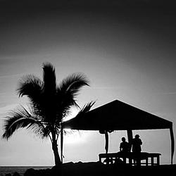 Chill Out Radio Caprice logo