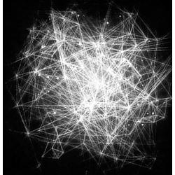 IDM Ambient Radio Caprice logo