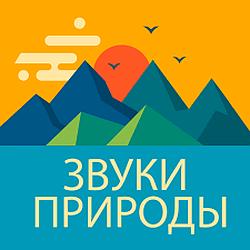 Радио Звуки Природы logo