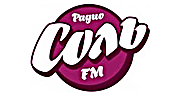 Соль FM 90-е logo