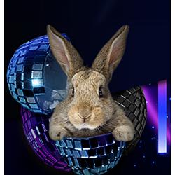 Hitradio-Wittgenstein