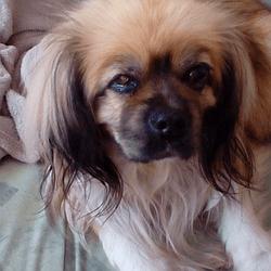 Floppy FM Radio logo