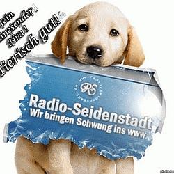 Radio Seidenstadt logo