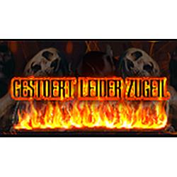 Gestoertleiderzugeil Radio logo