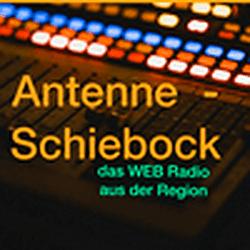 Antenne Schiebock