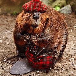 Radio Celtic Sounds logo