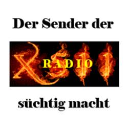 Radio X511 logo