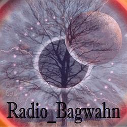 Radio Bagwahn logo