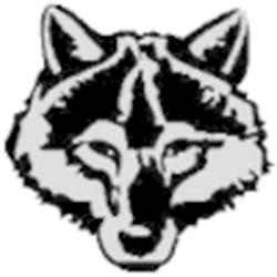 WOELFFCHEN Radio logo