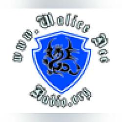 Walice-Dee-Radio logo