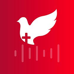 Radio Crestin Aripi Spre Cer Instrumental logo