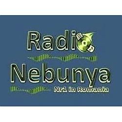 Radio Nebunya