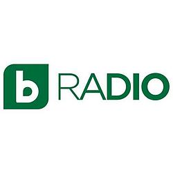 BTV Radio logo