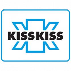 Radio Kiss Kiss Disco Party
