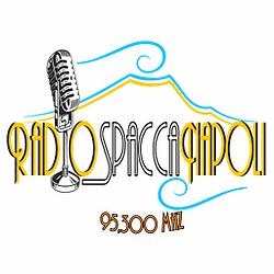 Radio Spacca Napoli logo