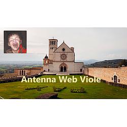 Antenna Web Viole