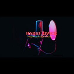 Radio Zivice