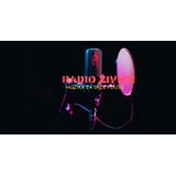 Radio Zivice