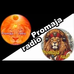 Promaja radio