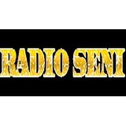 Radio Seni