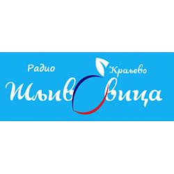 Radio Šljivovica