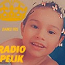 Radio Pelik