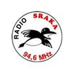 Radio Sraka