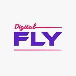 Digital Fly logo