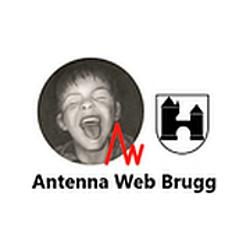 Antenna Web Brugg