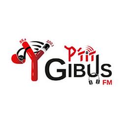 P'tit Gibus FM logo